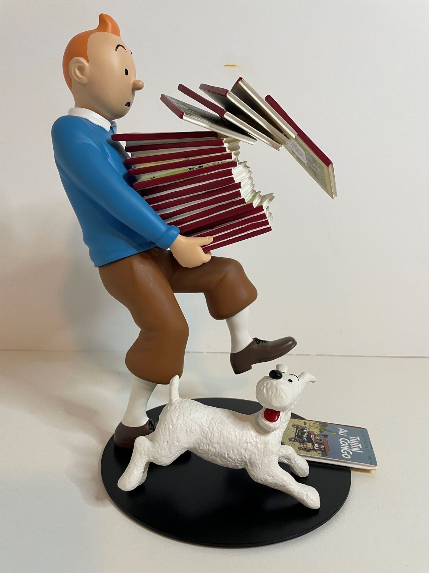 Kuifje & Bobby beeld met Stripboeken 46964