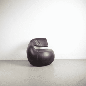 Leolux Gisa Fauteuil Aubergine Leer