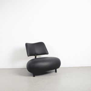 Leolux Pallone Fauteuil Zwart Leer